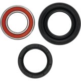Pivot Works Premium Wheel Bearing thumbnail 4