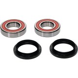 Pivot Works Premium Wheel Bearing thumbnail 1