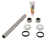 Pivot Works 11-13 Yamaha YFM125 Raptor Swing Arm Kit thumbnail 1