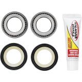 Pivot Works 19-23 Honda CRF110F Steering Stem Bearing Kit thumbnail 4
