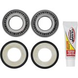 Pivot Works 07-10 BMW G450X Steering Stem Bearing Kit thumbnail 2