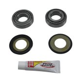 Pivot Works 07-10 BMW G450X Steering Stem Bearing Kit thumbnail 3