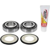 Pivot Works 07-10 BMW G450X Steering Stem Bearing Kit thumbnail 5