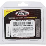 Pivot Works 07-10 BMW G450X Steering Stem Bearing Kit thumbnail 6