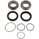 Pivot Works 04-07 Can-Am DS650 Rear Wheel Bearing Kit thumbnail 1