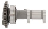 Hot Cams 03-15 WR 450 F/04-09 YFZ 450 Exhaust Camshaft - Stage 1 thumbnail 1