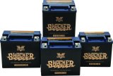Twin Power YTX-14L Shocker Gel Battery Replaces H-D 65958-04 220 CCA thumbnail 2