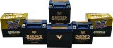 Twin Power YTX-14L Shocker Gel Battery Replaces H-D 65958-04 220 CCA thumbnail 5