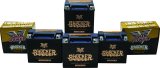 Twin Power YTX-14L Shocker Gel Battery Replaces H-D 65958-04 220 CCA thumbnail 6