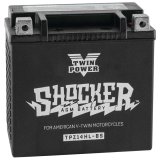 Twin Power YTX-14L Shocker Battery Replaces H-D 65958-04 220 CCA thumbnail 2