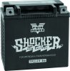 Twin Power YTX-14 Shocker Battery Replaces H-D 65948-00 220 CCA thumbnail 5