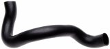Gates 80-96 Ford F Series V-8 5.0L Lower Molded Coolant Hose thumbnail 1