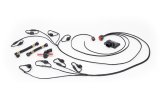 Advanced Fuel Dynamics PROFLEX Commander Systems for Ford Mustang 5.0 2015-2017 MUSTANG - PFC-S550-1 Flex Conversion Kit, Commander, Ford, Mustang, 5.0L, E85, Kit thumbnail 1