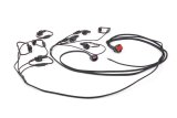 Advanced Fuel Dynamics PROFLEX Commander Systems for Ford Mustang 5.0 2015-2017 MUSTANG - PFC-S550-1 Flex Conversion Kit, Commander, Ford, Mustang, 5.0L, E85, Kit thumbnail 2