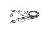 Advanced Fuel Dynamics Flex Conversion Kits PFC-SWAP1-1 PROFLEX Commander full bolt on E85 flex fuel system for 1997-2005 GM LS Engine Swap (LSX) thumbnail 2