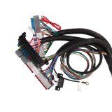 Top Street Performance Standalone Fuel Injection Wiring Harnesses WH1201 Harness, System, Standalone, Drive-By-Cable, LS1, Kit thumbnail 4