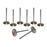Intake Valve - 2.165 in Head - 8 mm Stem - 5.195 in Long - Stainless - GM LS-Series - Set of 8 thumbnail 1