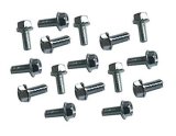 Beadlock Bolt Kit - 5/16-18 in Thread - 0.75 in Long - Hex Head - Steel - Zinc Oxide - Set of 16 thumbnail 1