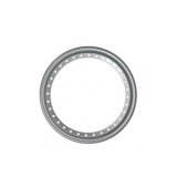 Beadlock Ring - Outer - Steel - Silver Paint - 13 in Wheels - Each thumbnail 1