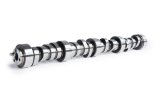 Camshaft - Supercharger - Hydraulic Roller - Lift 0.621 / 0.604 in - Duration 291 / 307 - 116 LSA - 3500 / 6800 RPM - GM LS-Series - Each thumbnail 1
