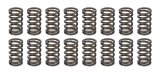 Valve Spring - Single Spring - 251 lb/in Spring Rate - 0.860 in Coil Bind - 1.045 in OD - Set of 16 thumbnail 1