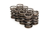 Valve Spring - Dual Spring - 258 lb/in Spring Rate - 0.910 in Coil Bind - 1.385 in OD - Set of 8 thumbnail 1