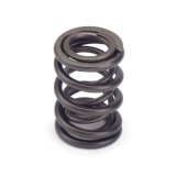 Valve Spring - Dual Spring - 382 lb/in Spring Rate - 0.980 in Coil Bind - 1.400 in OD - Set of 16 thumbnail 1