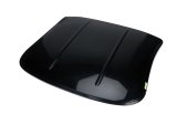 Roof - Late Model - 41 in Long - 45 in Wide - Composite - Black - Each thumbnail 1