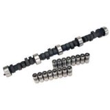 Camshaft / Lifters - Oval Track - Hydraulic Flat Tappet - Lift 0.500 / 0.500 in - Duration 302 / 302 - 110 LSA - 3200 / 6500 RPM - Small Block Chevy - Kit thumbnail 1