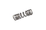Check Valve Spring - 90-250 psi - 6 AN - Steel - Each thumbnail 1