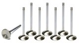 Exhaust Valve - Competition Plus - 1.600 in Head - 0.313 in Valve Stem - 4.915 in Long - Stainless - GM LS-Series - Set of 8 thumbnail 1