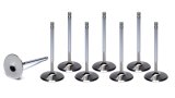 Intake Valve - Competition Plus Hollow Stem - 2.200 in Head - 0.314 in Valve Stem - 5.180 in Long - Stainless - GM LS-Series - Set of 8 thumbnail 1