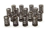 Valve Spring - Single Spring - 256 lb/in Spring Rate - 1.200 in Coil Bind - 1.250 in OD - Small Block Chevy - Set of 16 thumbnail 1