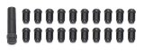 Lug Nut - Acorn Bulge - 1/2 x 20 in Thread - 60 Degree Seat - Conical Seat - Closed End - Key - Steel - Black Chrome - Universal - Set of 20 thumbnail 1