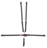 Harness - Dirt Track - 5 Point - Latch and Link - SFI 16.1 - Pull Down Adjust - Bolt-In / Wrap Around - Individual Harness - Black - Kit thumbnail 1