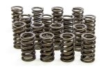 Valve Spring - Single Spring / Damper - 350 lb/in Spring Rate - 1.150 in Coil Bind - 1.260 in OD - Set of 16 thumbnail 1