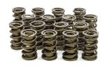 Valve Spring - Tool Room - Dual Spring / Damper - 510 lb/in Spring Rate - 1.200 in Coil Bind - 1.570 in OD - Set of 16 thumbnail 1