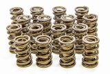 Valve Spring - RAD-9000 - Dual Spring / Damper - 650 lb/in Spring Rate - 1.150 in Coil Bind - 1.600 in OD - Set of 16 thumbnail 1