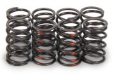 Valve Spring - Single Spring - 260 lb/in Spring Rate - 0.720 in Coil Bind - 0.815 in OD - Set of 8 thumbnail 1