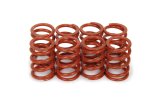 Valve Spring - Outer - 260 lb/in Spring Rate - 0.720 in Coil Bind - 1.095 in OD - Set of 8 thumbnail 1