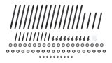 Cylinder Head Stud Kit - TorqueMaster Series - 12 Point Nuts - Chromoly - Black Oxide - GM LS-Series - Kit thumbnail 1
