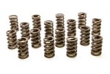 Valve Spring - 1200 Series Circle Track - Single Spring / Damper - 450 lb/in Spring Rate - 1.100 in Coil Bind - 1.244 in OD - Set of 16 thumbnail 1