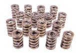 Valve Spring - 1200 Series Circle Track - Dual Spring - 540 lb/in Spring Rate - 1.100 in Coil Bind - 1.244 in OD - Set of 16 thumbnail 1