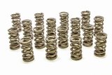 Valve Spring - RPM Series - Dual Spring - 433 lb/in Spring Rate - 1.000 in Coil Bind - 1.304 in OD - GM LS-Series - Set of 16 thumbnail 1