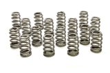 Valve Spring - RPM Series - Ovate Beehive Spring - 385 lb/in Spring Rate - 1.100 in Coil Bind - 1.034 in / 1.290 in OD - Set of 16 thumbnail 1