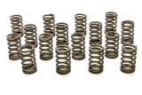 Valve Spring - RPM Series - Single Spring - 380 lb/in Spring Rate - 1.180 in Coil Bind - 1.355 in OD - Small Block Chevy - Set of 16 thumbnail 1