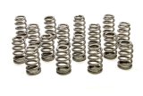 Valve Spring - RPM Series - Ovate Beehive Spring - 370 lb/in Spring Rate - 1.210 in Coil Bind - 1.000 in / 1.445 in OD - Set of 16 thumbnail 1