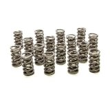 Valve Spring - RPM Series - Dual Spring - 425 lb/in Spring Rate - 1.055 in Coil Bind - 1.280 in OD - GM LS-Series - Set of 16 thumbnail 1