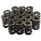 Valve Spring - 1200 Series Drag Race - Dual Spring - 629 lb/in Spring Rate - 1.100 in Coil Bind - 1.625 in OD - Set of 16 thumbnail 1
