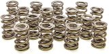 Valve Spring - 1200 Series Drag Race - Dual Spring - 663 lb/in Spring Rate - 1.150 in Coil Bind - 1.550 in OD - Set of 16 thumbnail 1